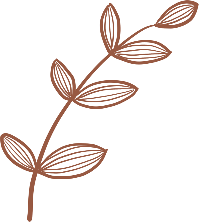 Hand Drawn Leaves