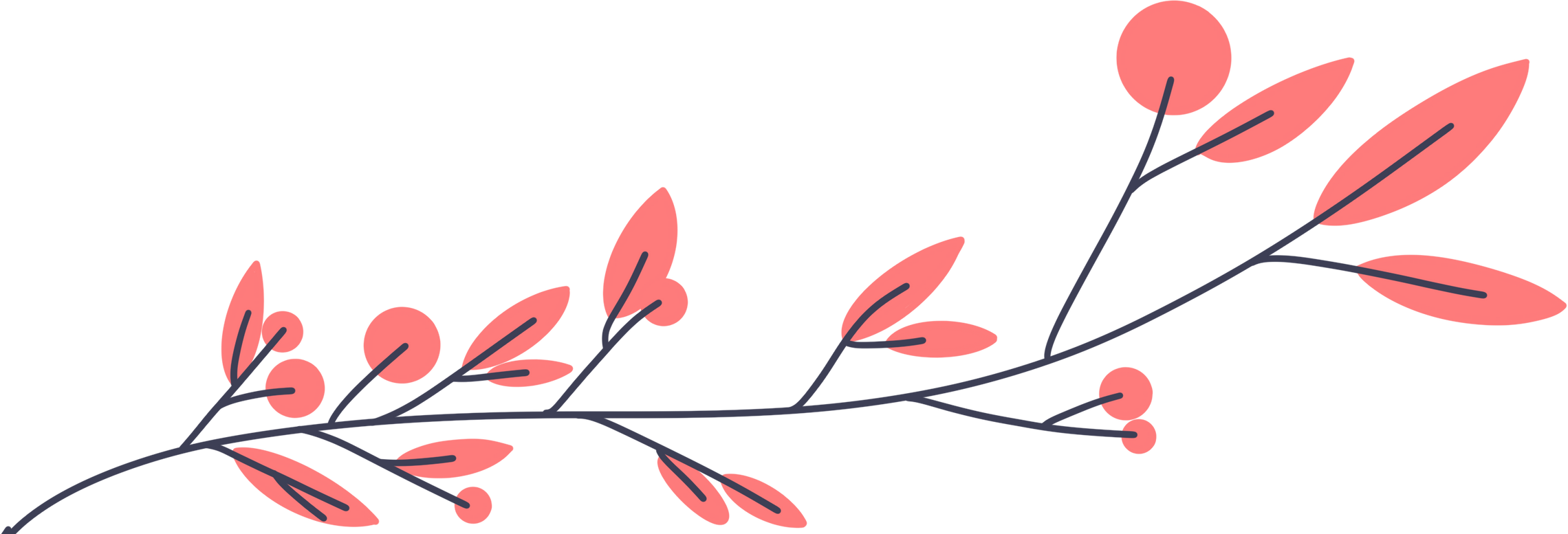 Sakura Flower Branch